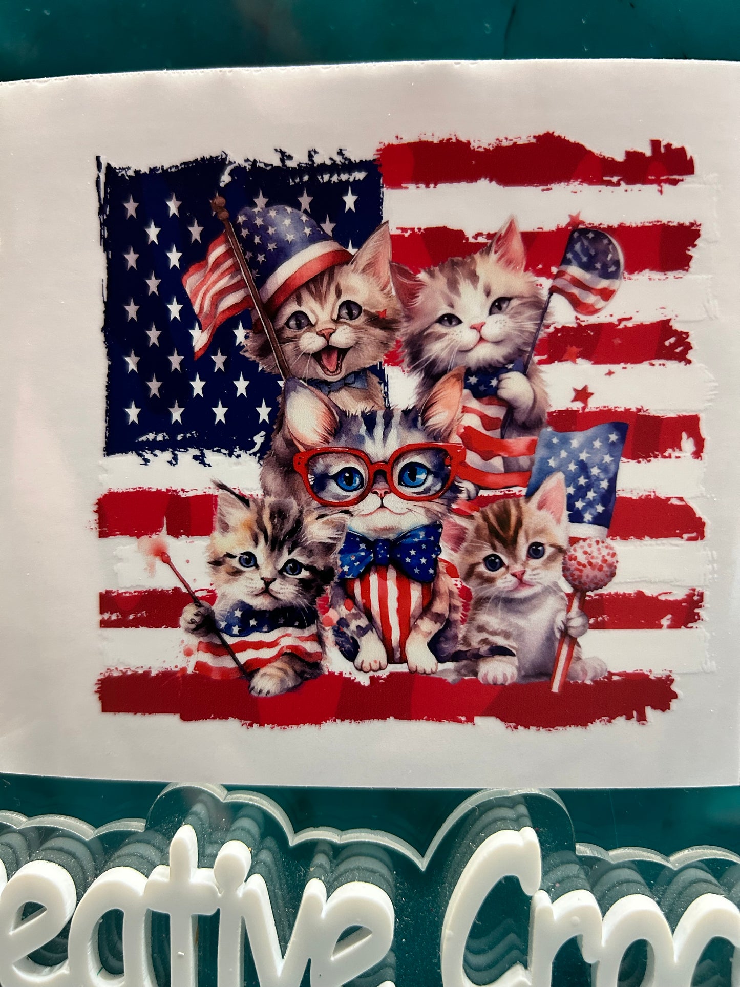RWB Cat Party