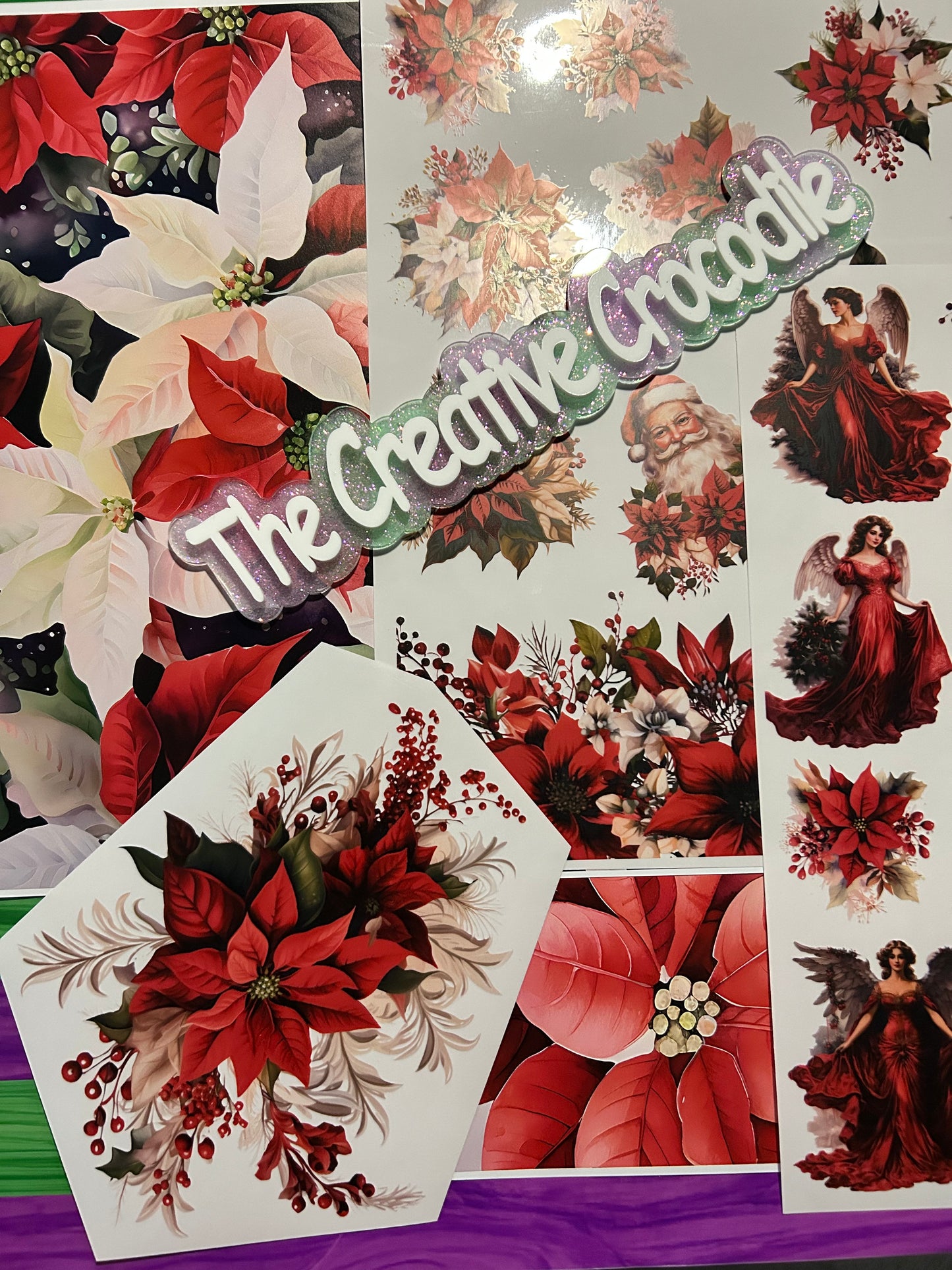 Poinsettia/Santa bundle
