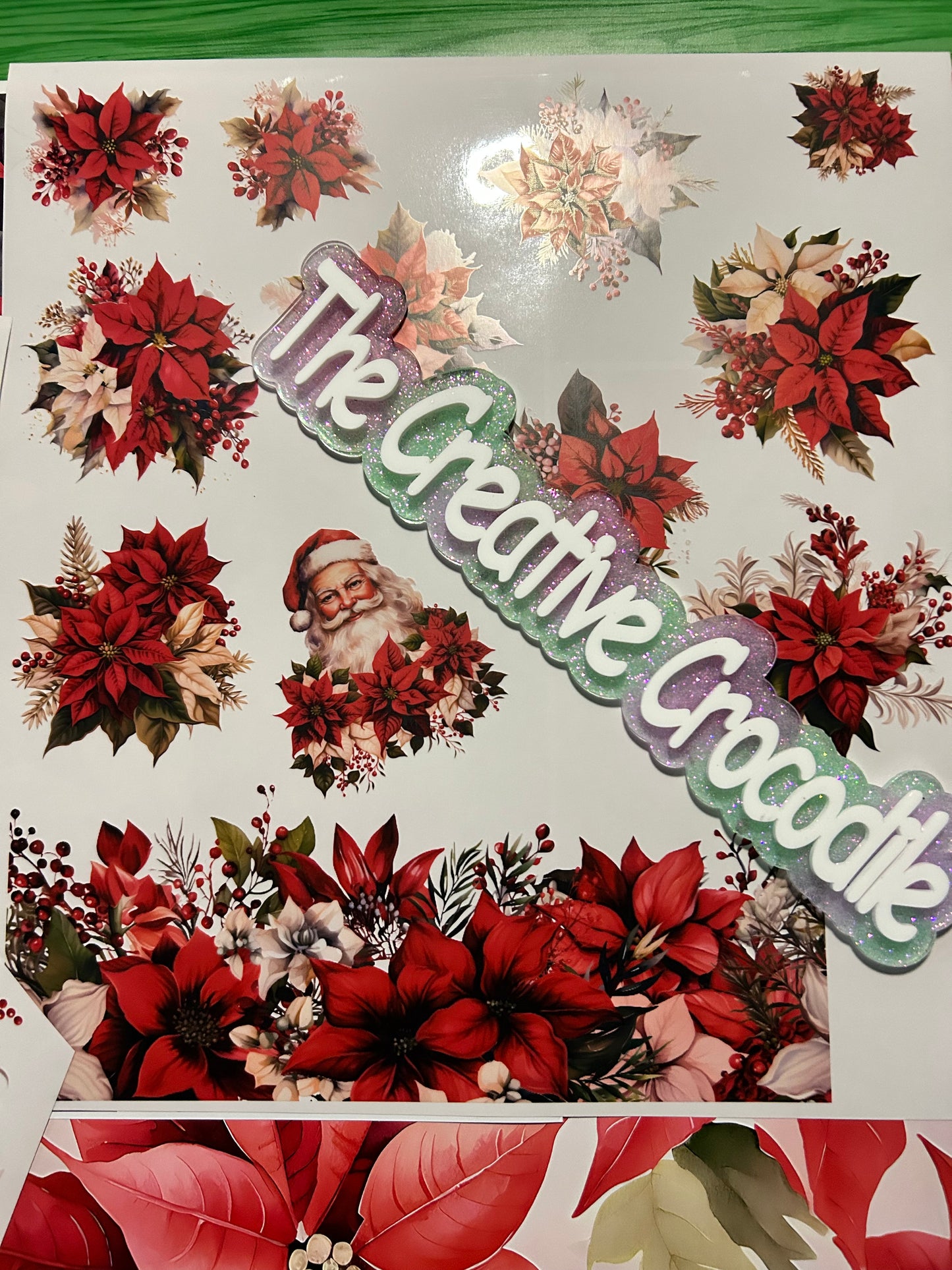 Poinsettia/Santa bundle