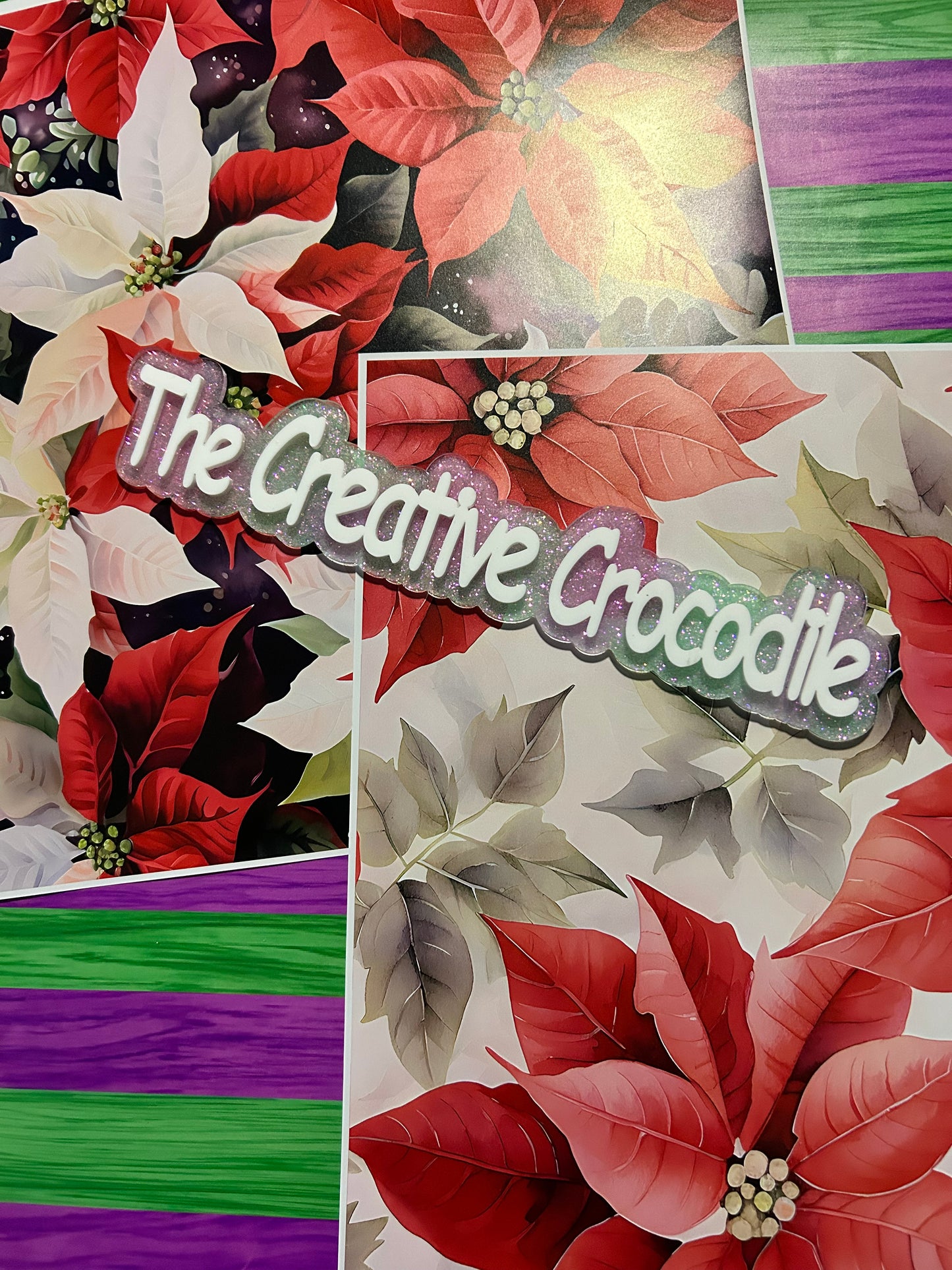 Poinsettia/Santa bundle