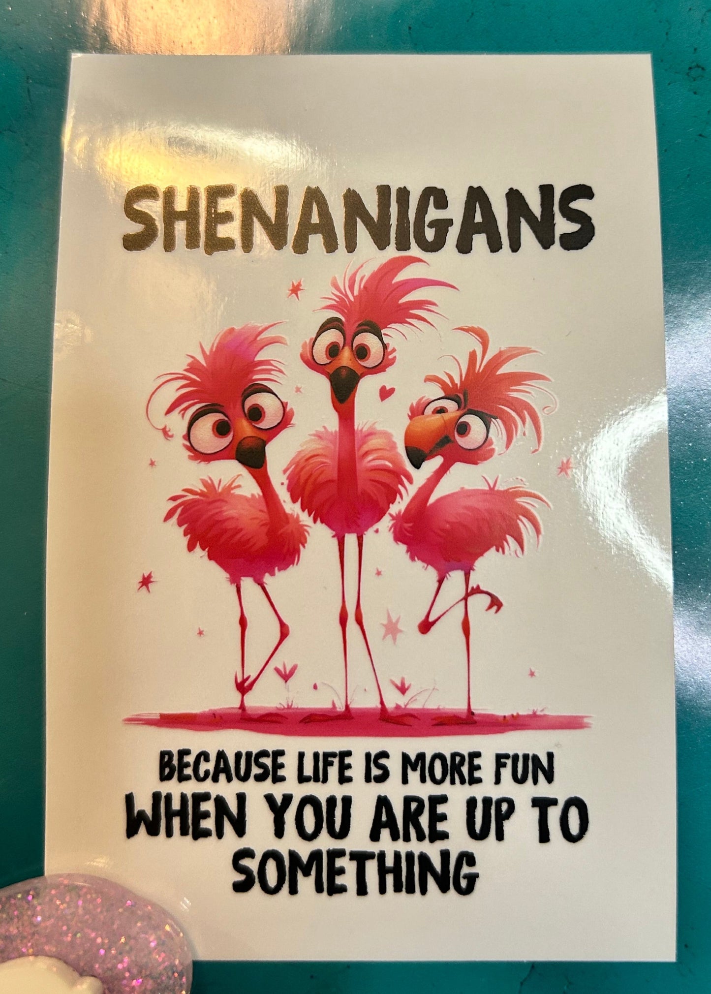 Flamingo Shenanigans
