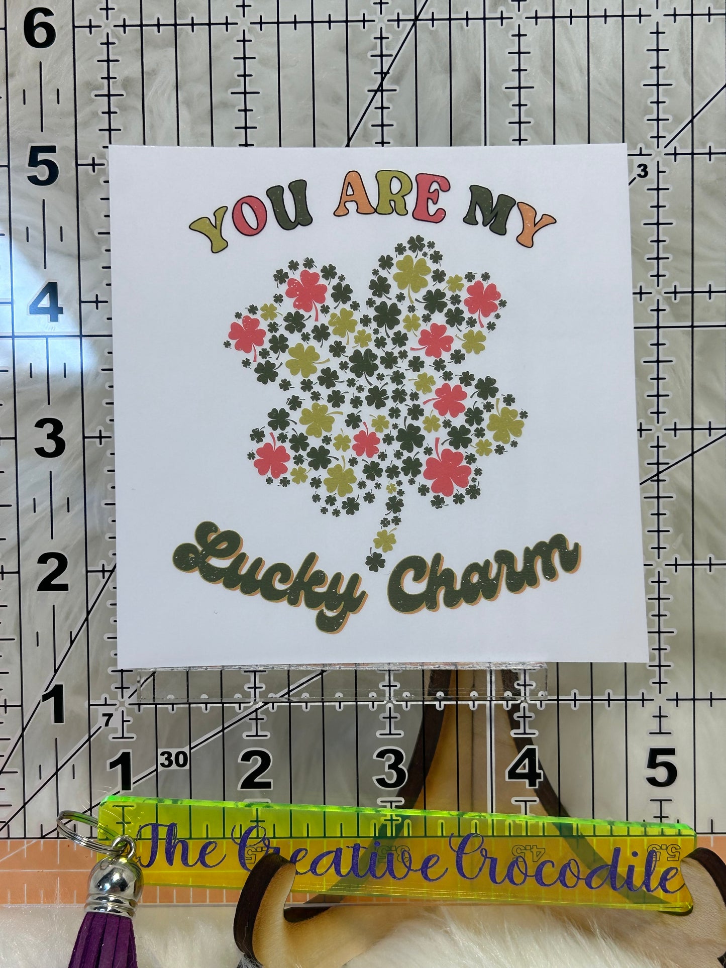 St Patrick's Day Lucky Charm
