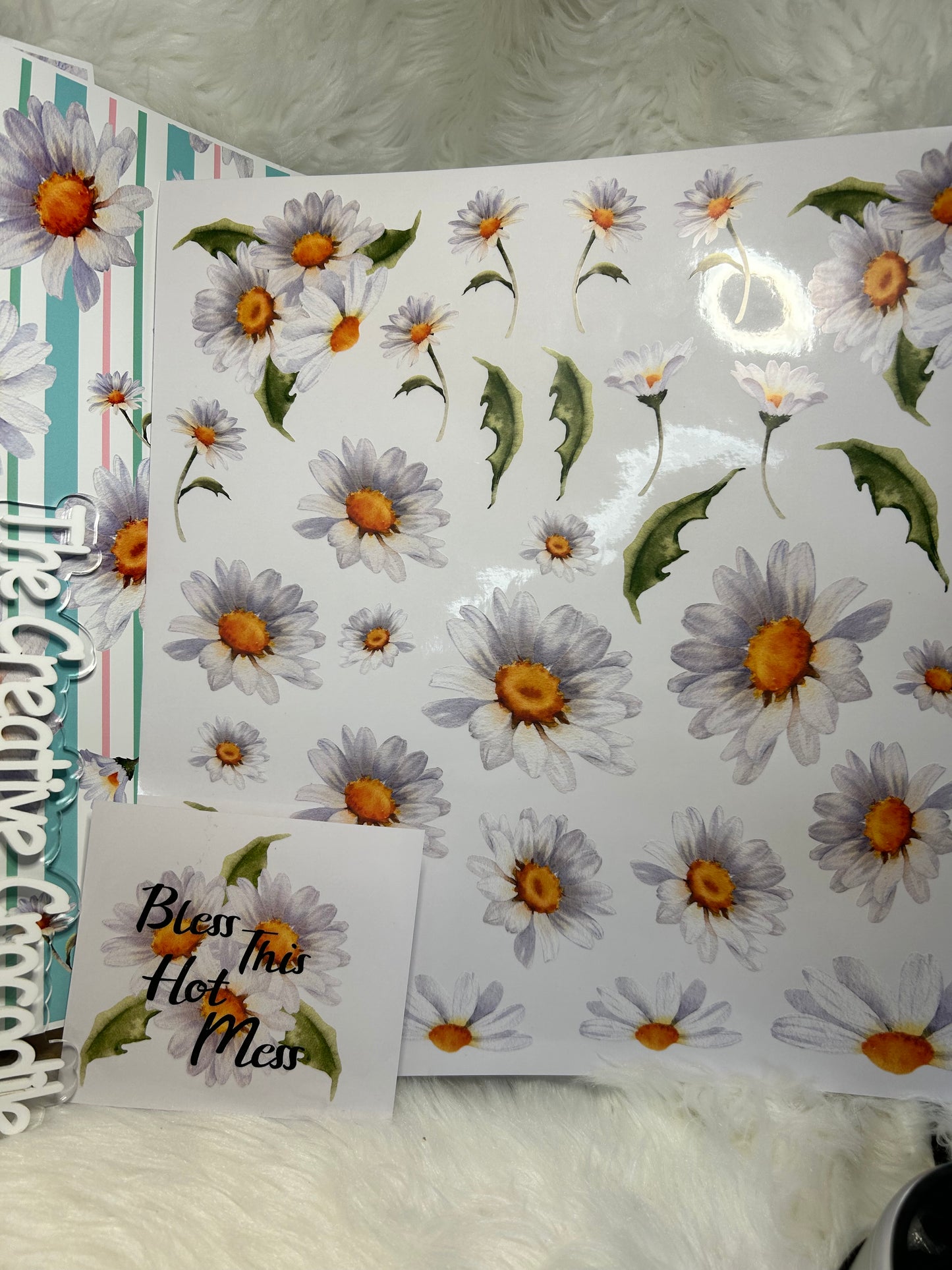 Daisy Bundle