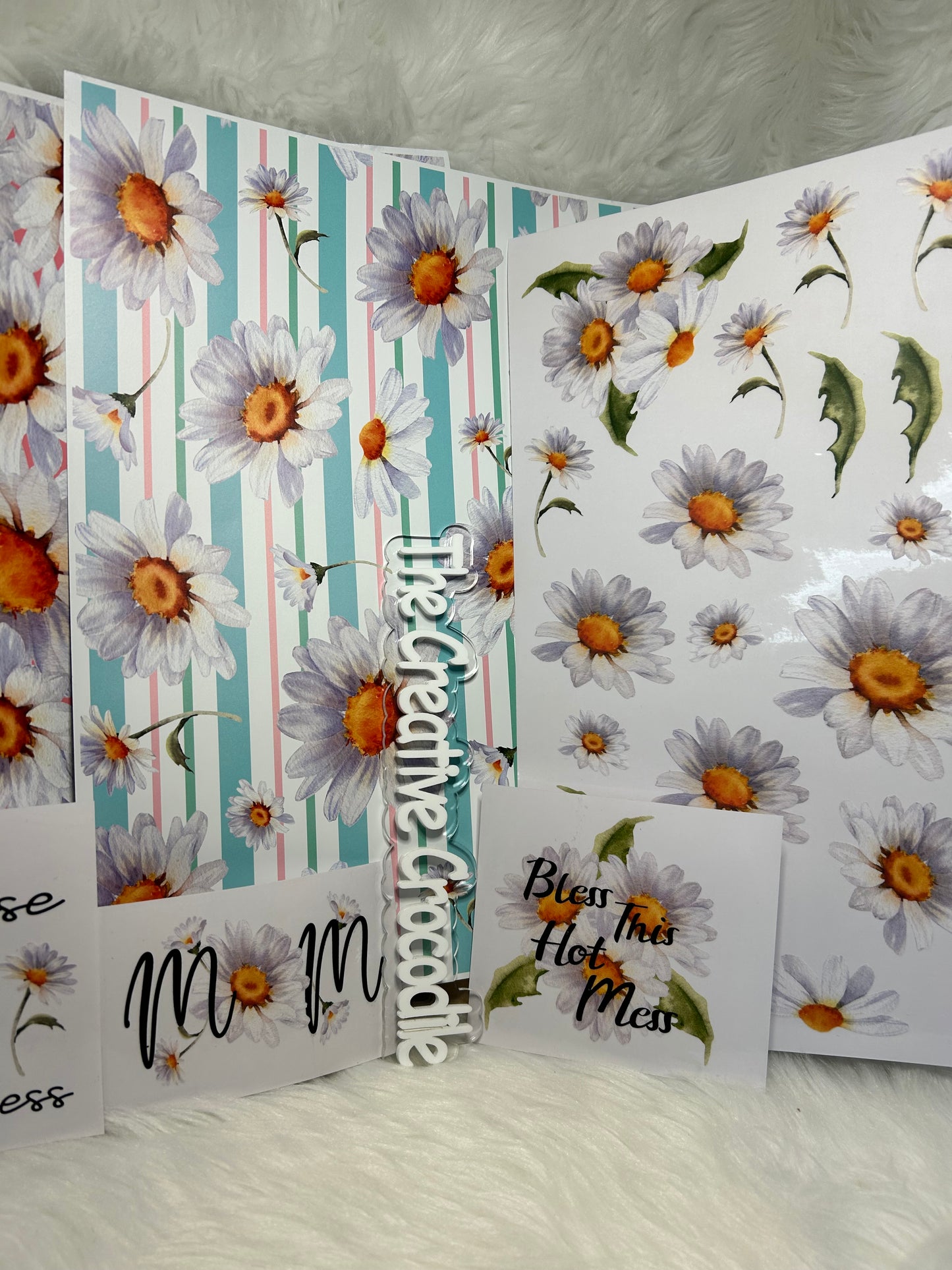 Daisy Bundle