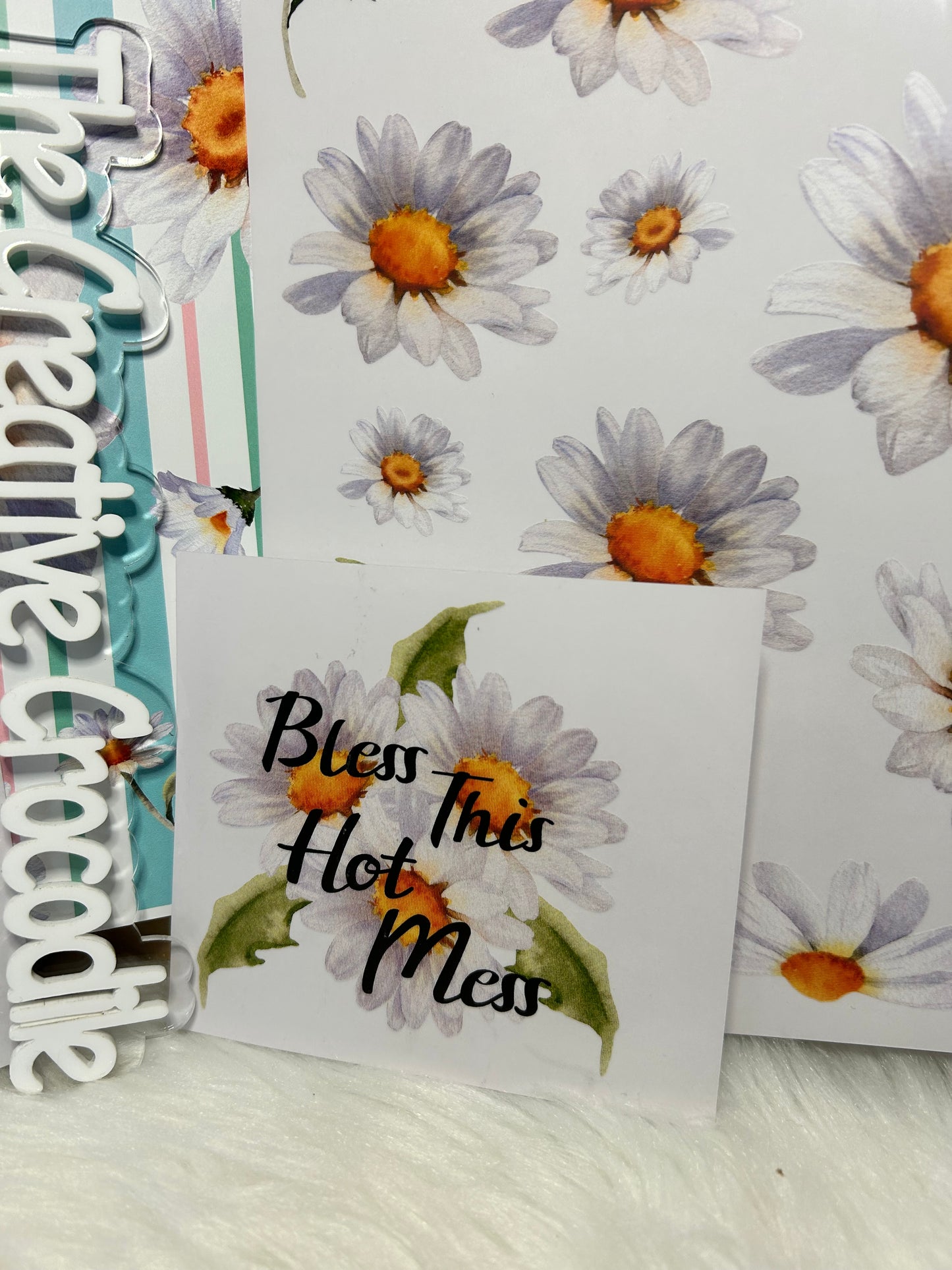 Daisy Bundle