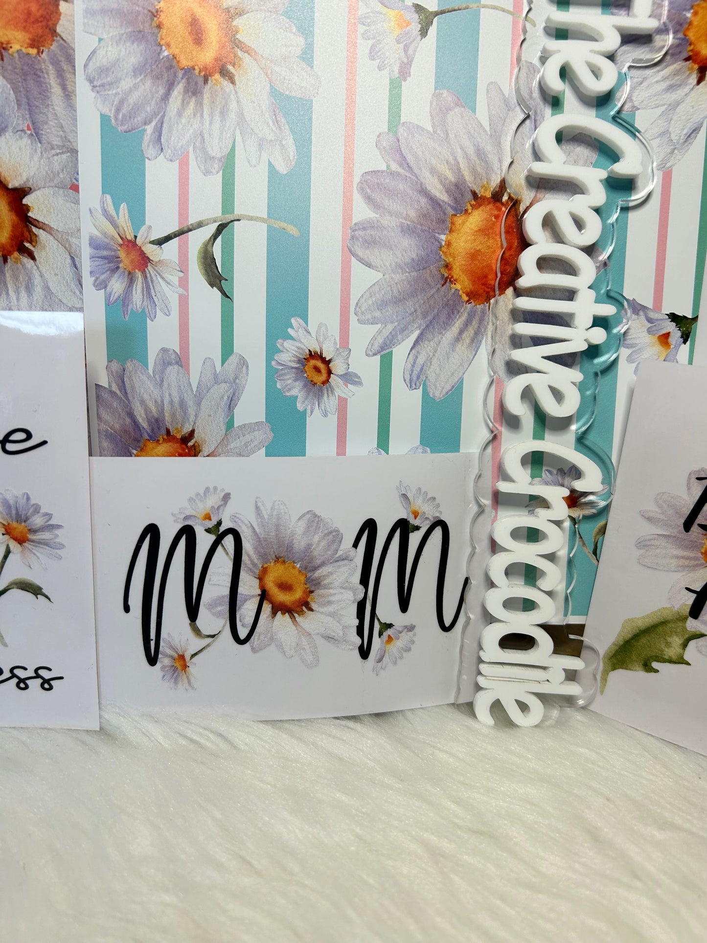 Daisy Bundle