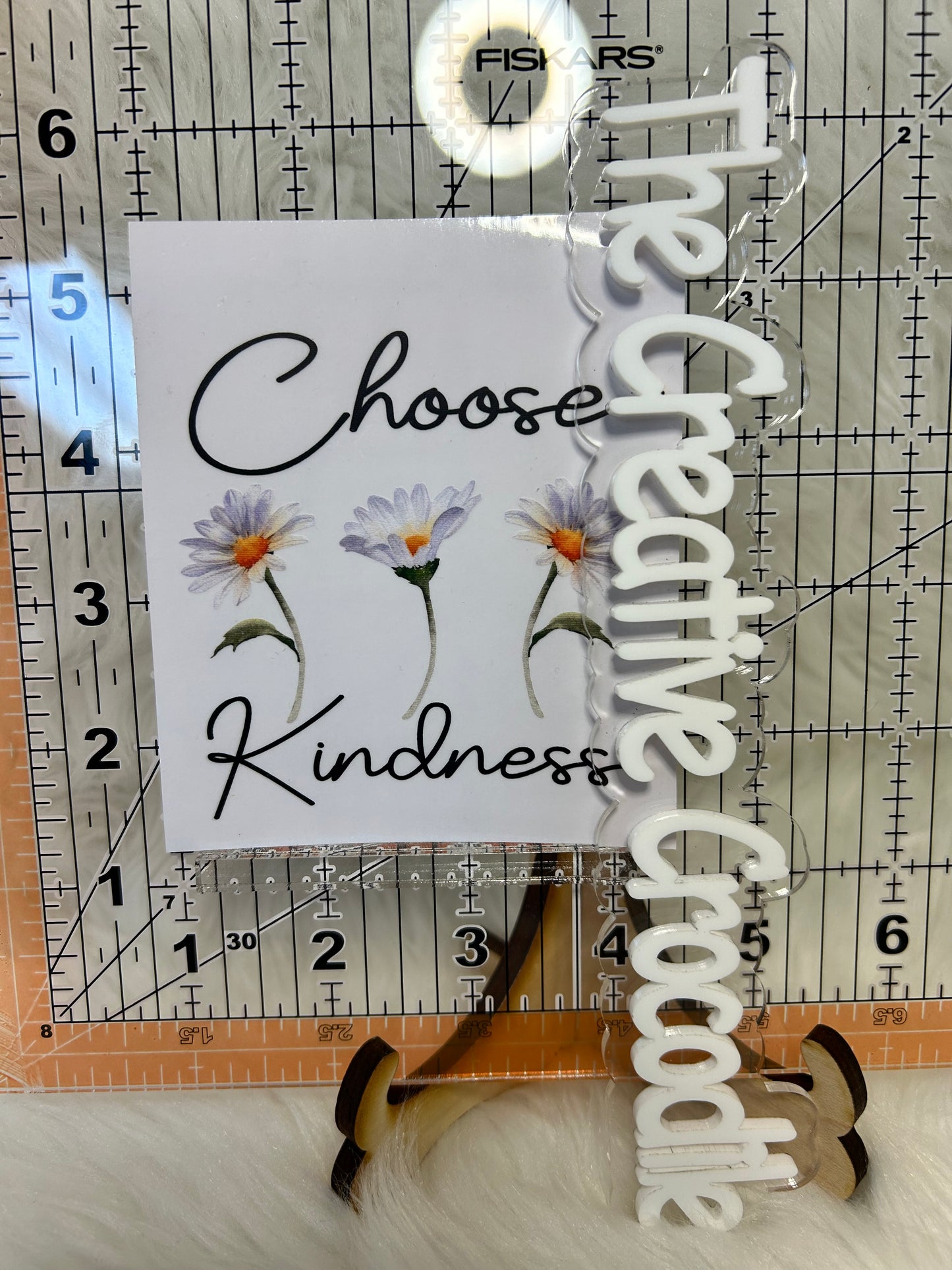 Daisies Choose Kindness