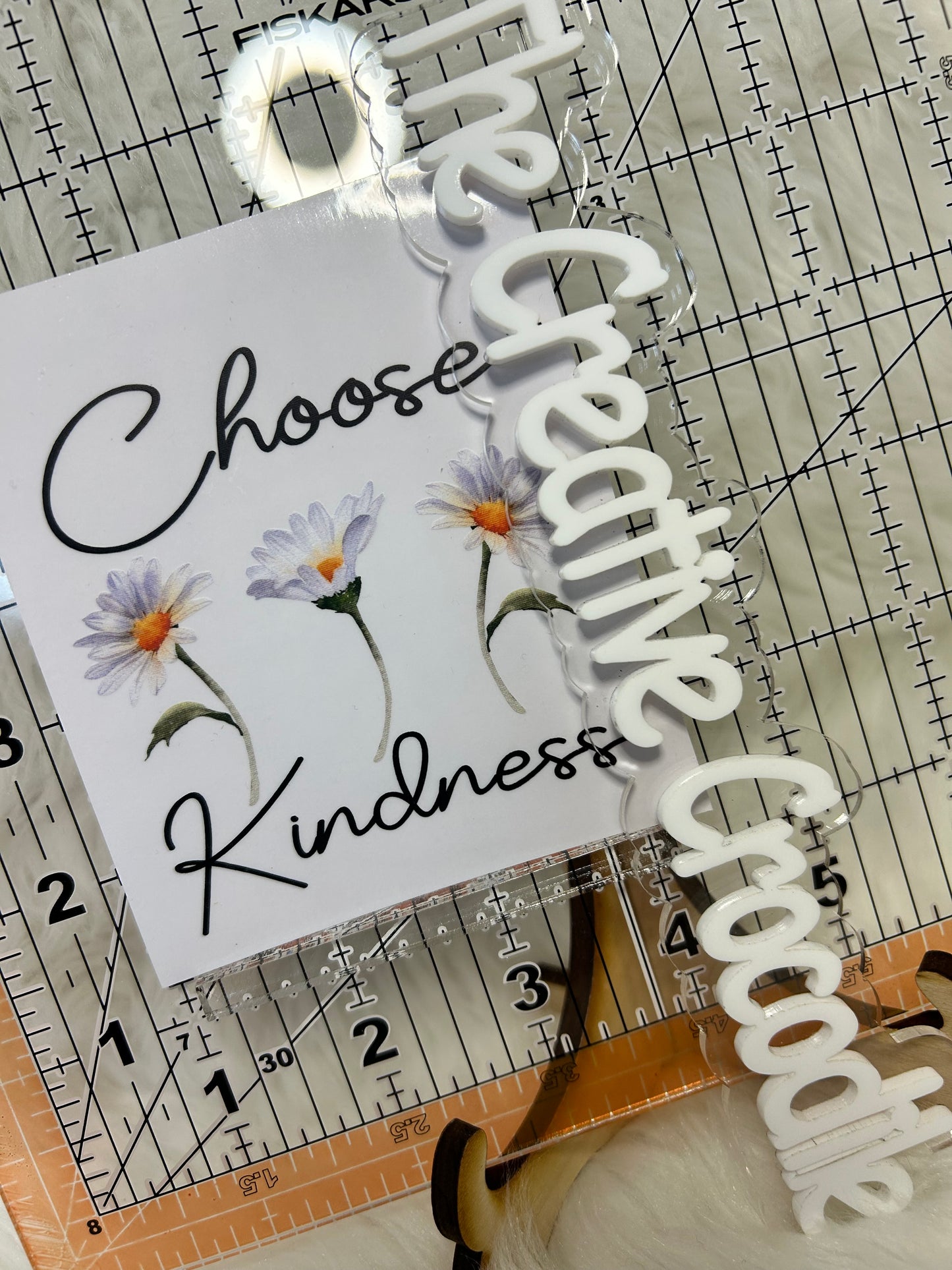 Daisies Choose Kindness