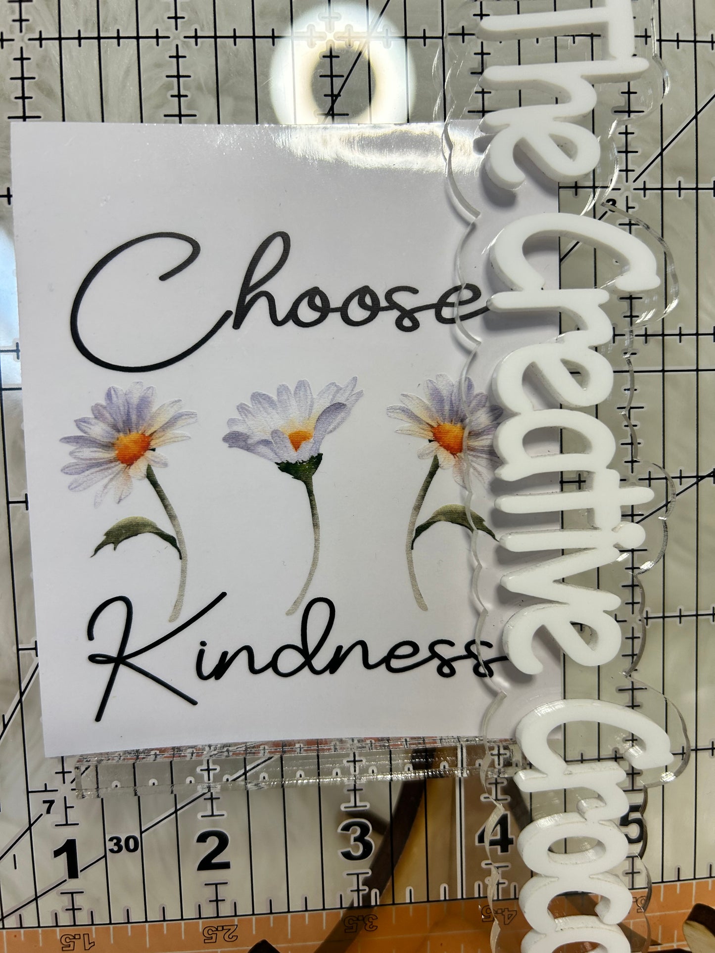 Daisies Choose Kindness