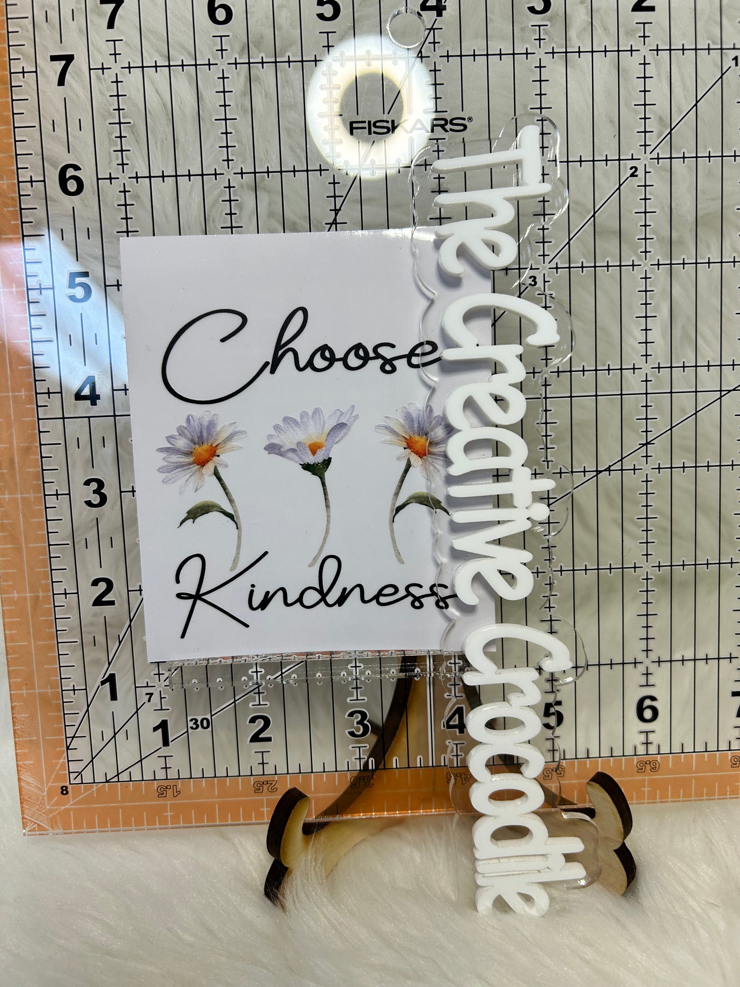 Daisies Choose Kindness